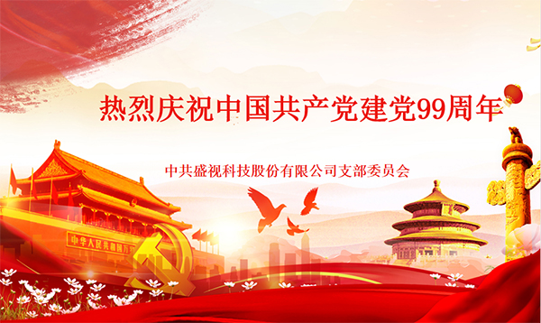 盛视党建动态|乐投(中国)letou·官方网页版,党组织开展庆祝建党99周年主题党日活动
